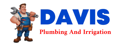 Trusted plumber in ELSA